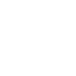 Design Development