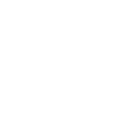Design Development