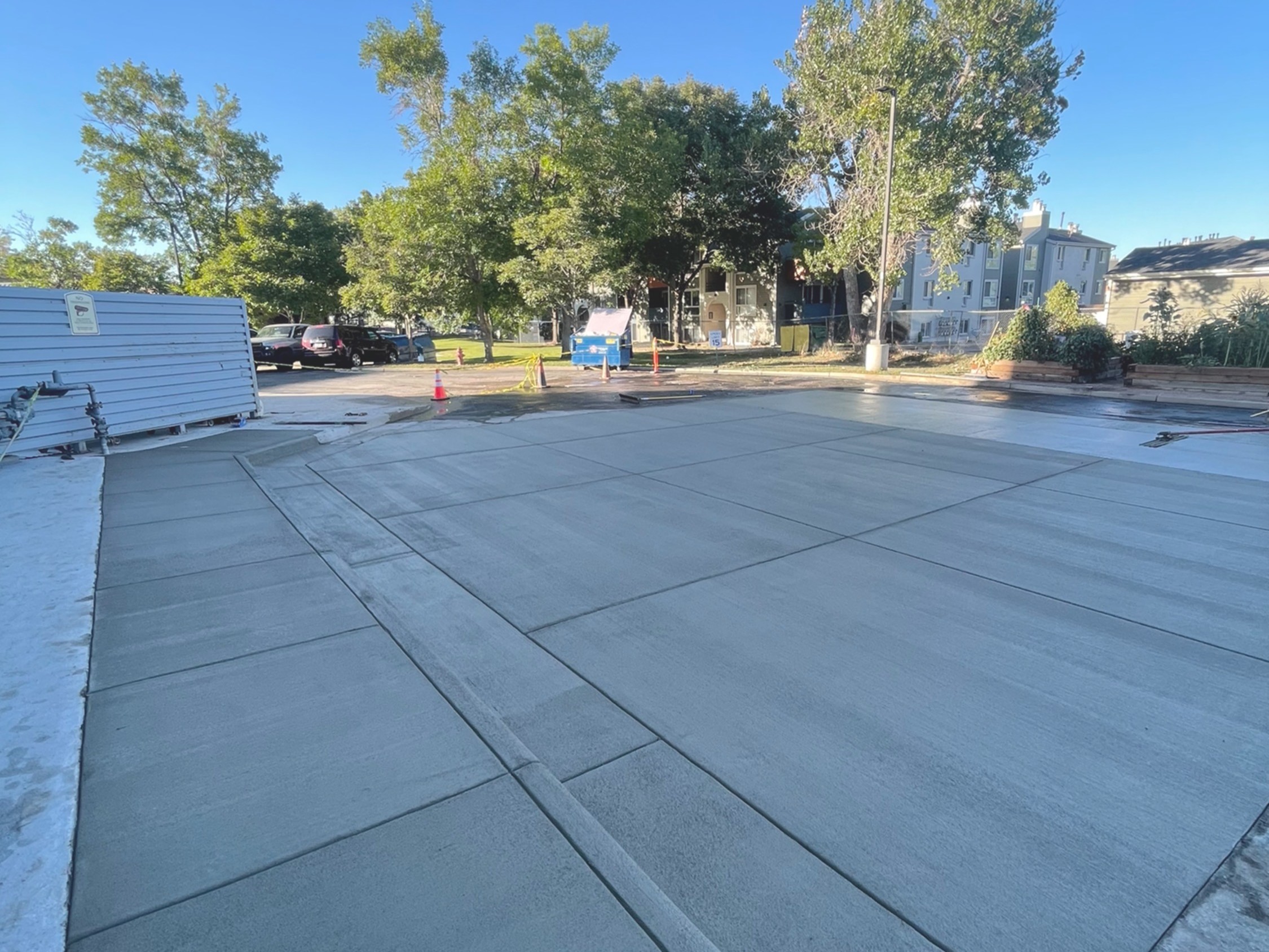 driveway-landscape